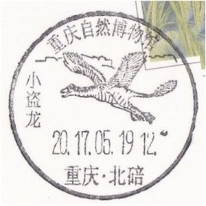 Microraptor dinosaur on postmark of China 2017