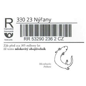 Microbrachis Pelikani on register letter label of Czech Republic 2022