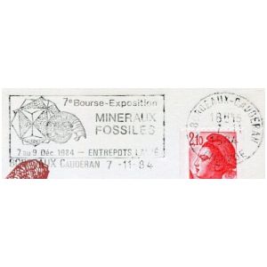 Ammonite on commemorative postmark of France 1984