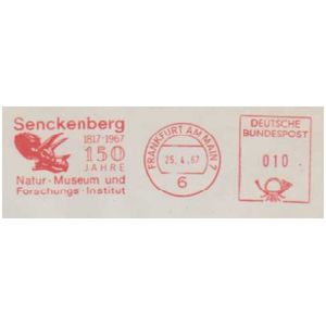 Triceratops on meter franking of Senckenberg Natural History Museum and its research institute in Gemany