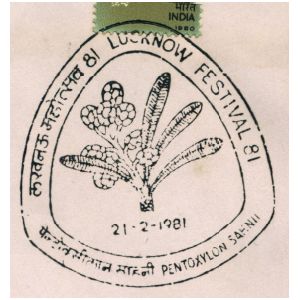 Fossil of prehistoric plant on commemorative postmark of India 1981