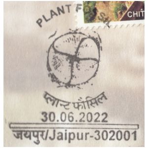 Plant fossil on commemorative postmark of India 2022