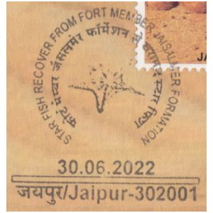 Star fish fossil on commemorative postmark of India 2022