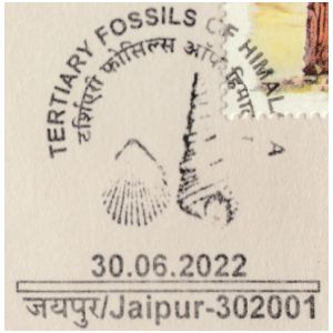 Tertiary fossils of Himalaya on commemorative postmark of India 2022
