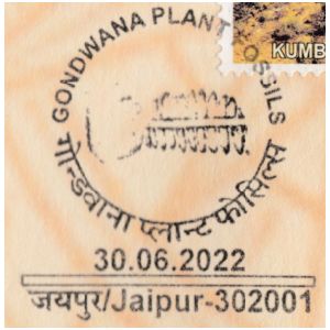Gondwana plant fossils on commemorative postmark of India 2022