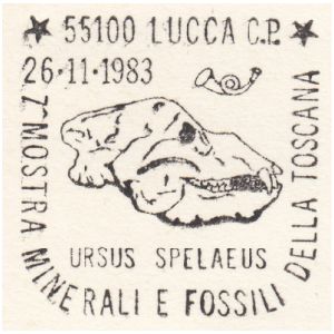 Cave bear, ursus spelaeus on postmark of Italy 1983