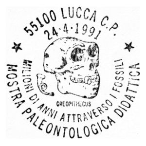 Skull of prehistoric human on postmark of Italy 1990