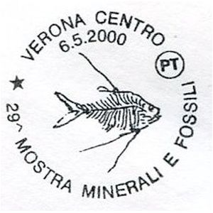 Fish fossil on postmark of Italy 2000