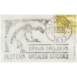 Fossil of cave bear, Ursus Spelaeus, on commemorative postmarks of Romania 1982