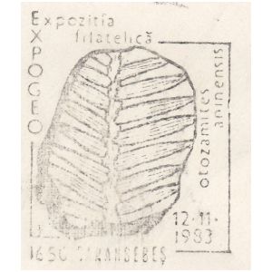 Plant fossil of Otozamites aninensis on commemorative postmarks of Romania 1983