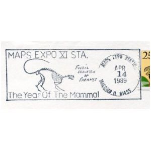Fossil of prehistoric mammmal on postmark of USA 1989