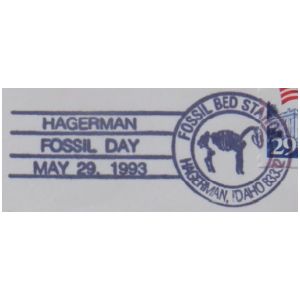 Fossil of prehistoric mammal on postmark of USA 1993