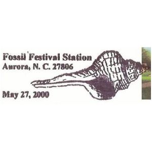 Fossilized shell on postmark of USA 2000
