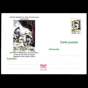 Australanthropus Olteniesis on postal stationery of Romania 1999