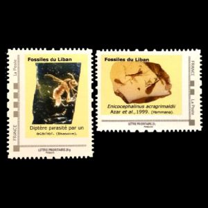 Prehistoric insect of Lebanon on stamp of France 2016