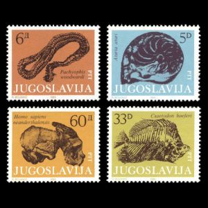 prehistoric animals and Homo sapiens on stamps of Yugoslavia 1985