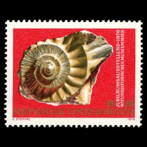Ammonite on Vienna Natural History Museum Centennial stamp of Austria 1976