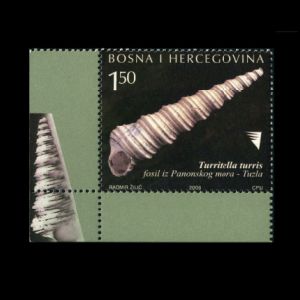 fossil shell Turritella turris from city of Tuzla on stamps of Bosnia and Herzegovina 2008