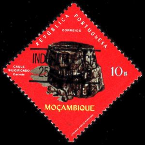 Petrified woods on overprinted stamp of Mozambique 1975
