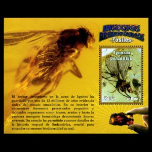 Prehistoric Insect in Amber: Sycorax peruensis on stamp of Peru 2014