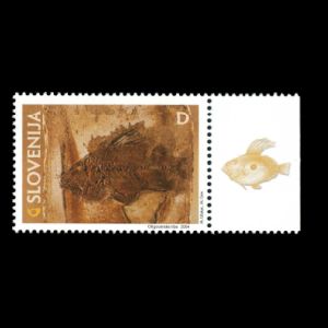 Fish fossil on stamp of Slovenia 2004