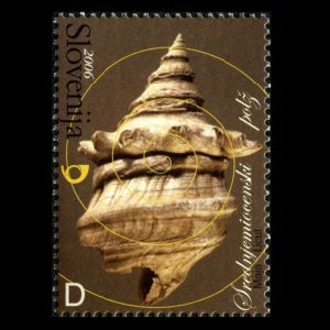 Shell fossil on stamp of Slovenia 2006