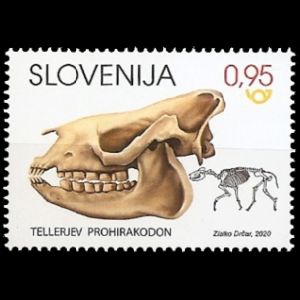 Fossils of prehoistoric mammal Prohyracodon tellerion on stamp of Slovenia 2020