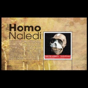 Skull of Homo naledi on stamps of South Africa 2017