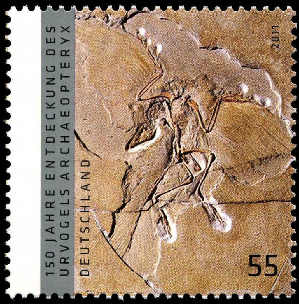 Archaeopteryx on stamp of Germany