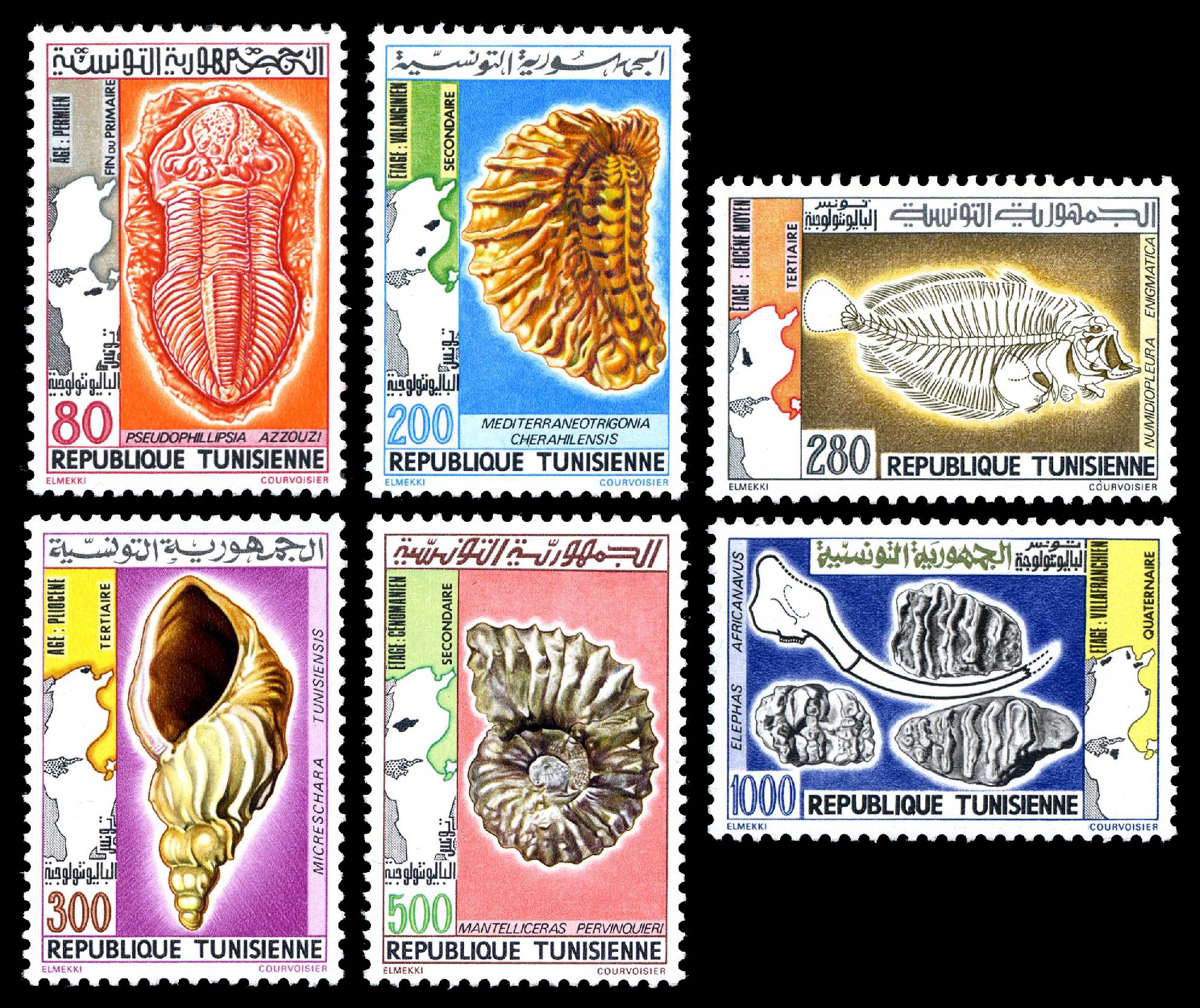 Fossils on stamps of Tunisia
