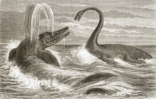 Ichthyosaur and Plesiosaur by Édouard Riou, 1863 one of the first reconstruction of Ichthyosaur