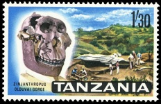 Paleoanthropologist at work on stamp
