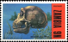Human fossil on stamp