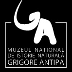 Mammoth on logo of Natural History Museum of Grigore Antipa