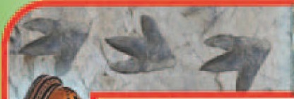 Dinosaur footprints on stamps of Spain 2019