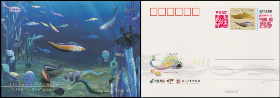 Haikouichthys, Kunming fish, on the self-adhesive meterfranking label and postcard of China 2023